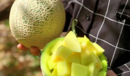 舒兰娱乐圈吃瓜,揭秘明星们的幕后故事